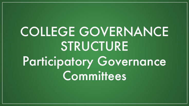 College Governance Structure