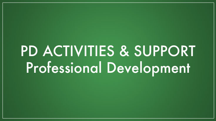 Professional Development Activities