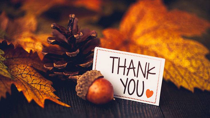Fall leaves, an acorn, and a pinecone next to a card that says Thank You